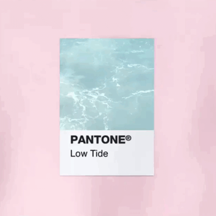 animated-coast-water-pantone-teresa-freitas-6