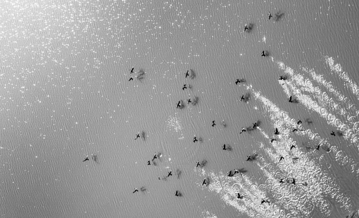 aerial-photos-bangladesh-aviator-shamim-shorif-susom-13