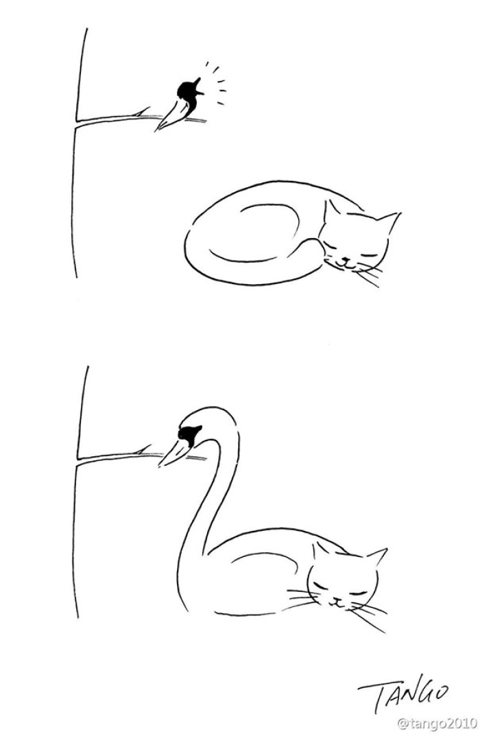 clever-comics-shanghai-tango-4