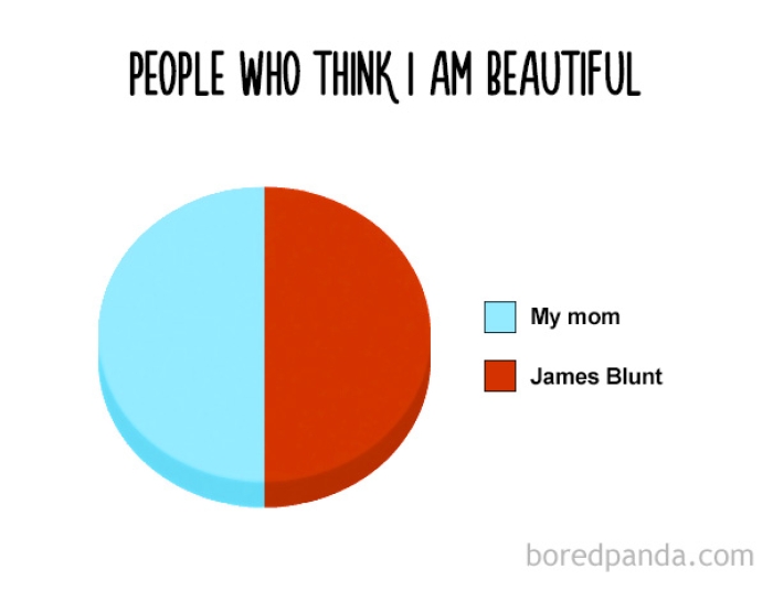 true-funny-pie-charts-13