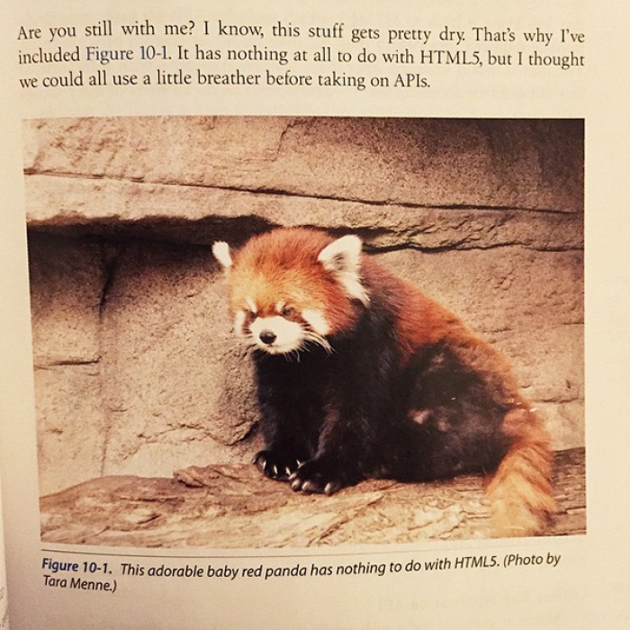 funny-textbook-fails-8
