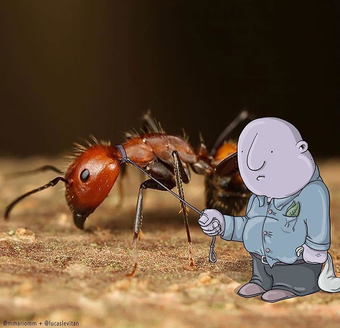 cartoons-in-photos-lucas-levitan-31
