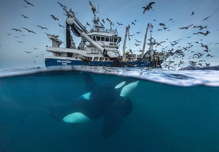 best-wildlife-photographer-of-the-year-2016-national-history-museum-8