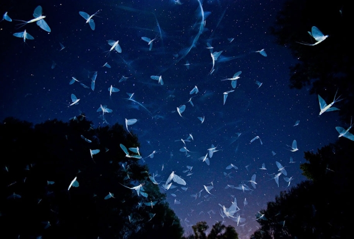 best-wildlife-photographer-of-the-year-2016-national-history-museum-5