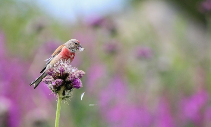 best-wildlife-photographer-of-the-year-2016-national-history-museum-3