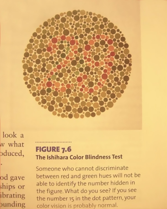 funny-textbook-fails-20