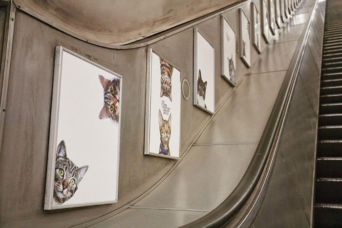 subway-cat-ads-metro-london-underground-7