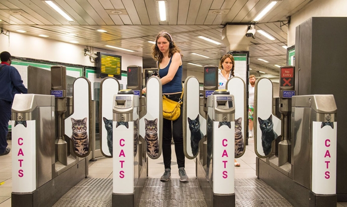 subway-cat-ads-metro-london-underground-2