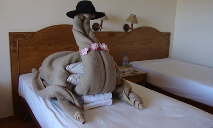 creative-funny-hotel-staff-requests-7
