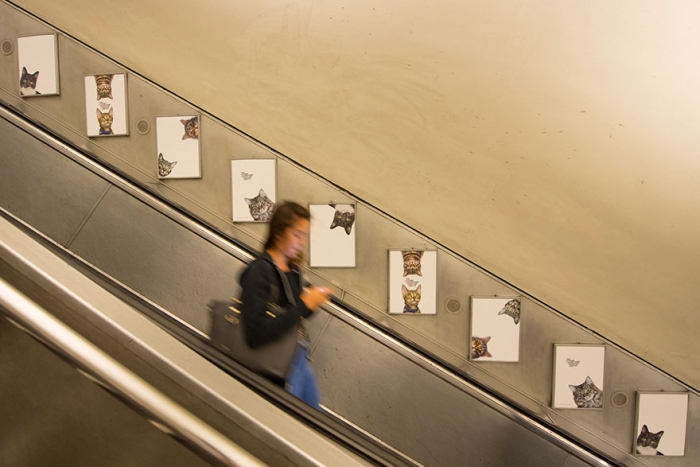 subway-cat-ads-metro-london-underground-12