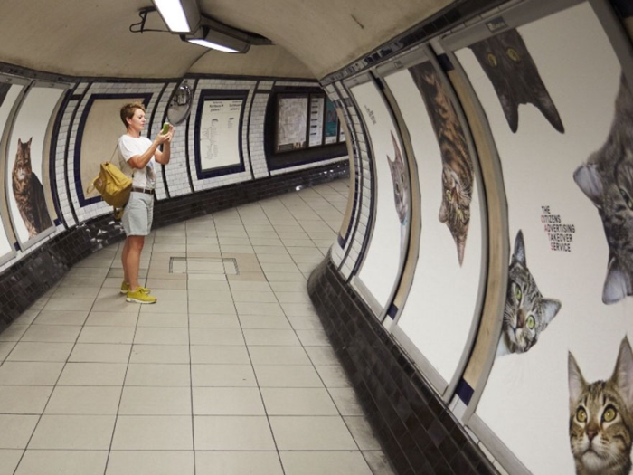 subway-cat-ads-metro-london-underground-1
