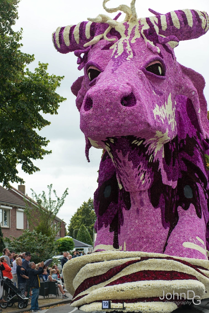 giant-flower-sculpture-parade-corso-zundert-2016-netherlands-11