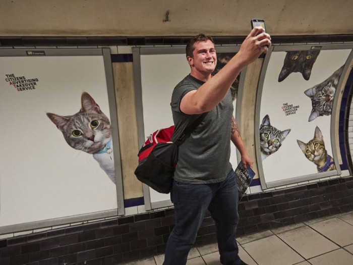 subway-cat-ads-metro-london-underground-11