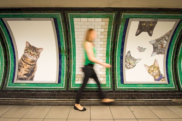 subway-cat-ads-metro-london-underground-3