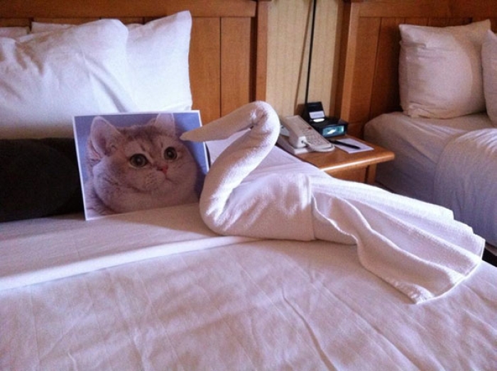 creative-funny-hotel-staff-requests-14