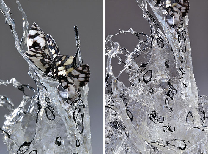 exploding-books-resin-glass-frozen-liquid-sculpture-liquidity-annalu-boerettos-20