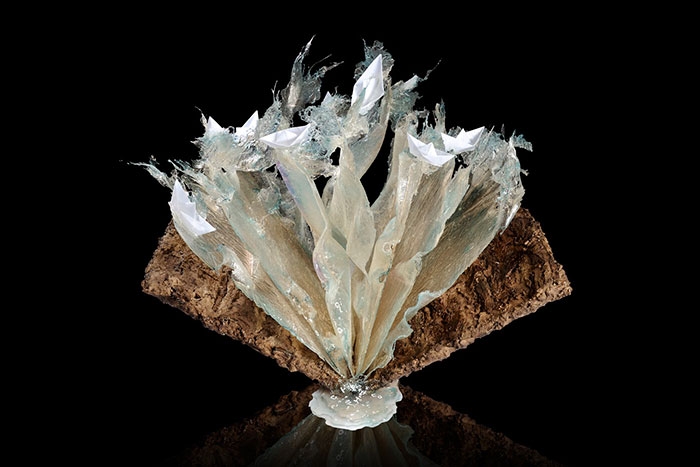 exploding-books-resin-glass-frozen-liquid-sculpture-liquidity-annalu-boerettos-3