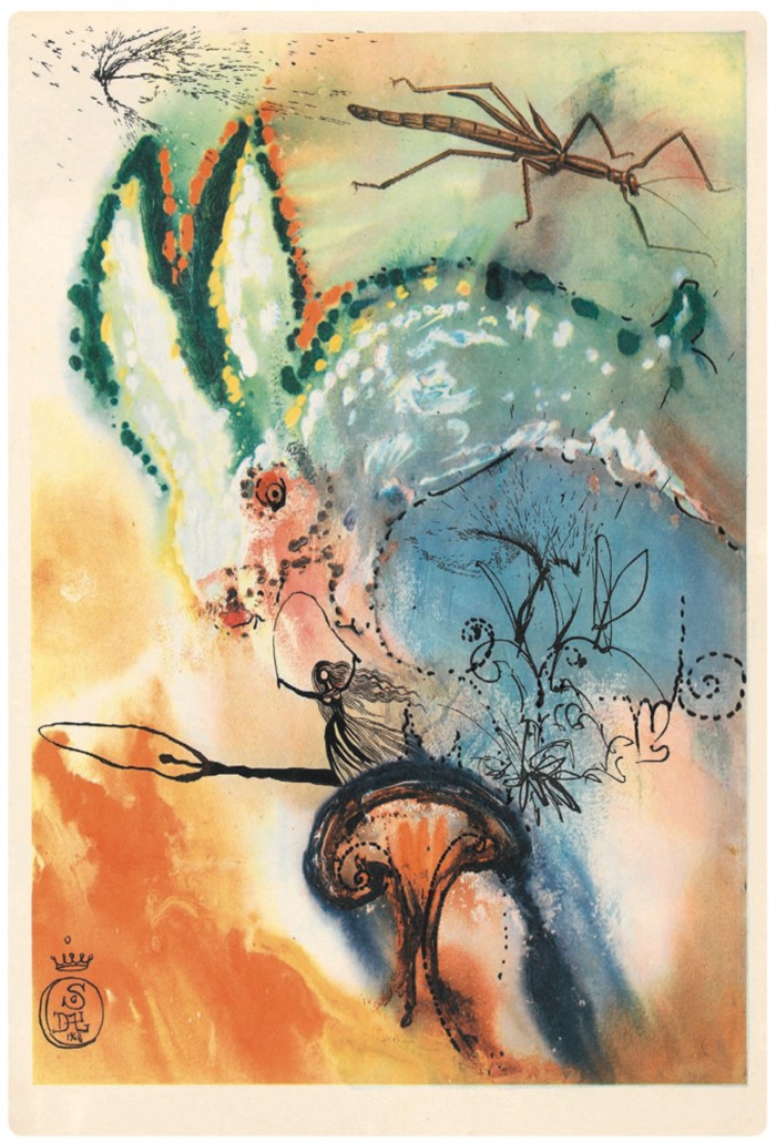 salvador-dali-illustrations-alice-in-wonderland-6