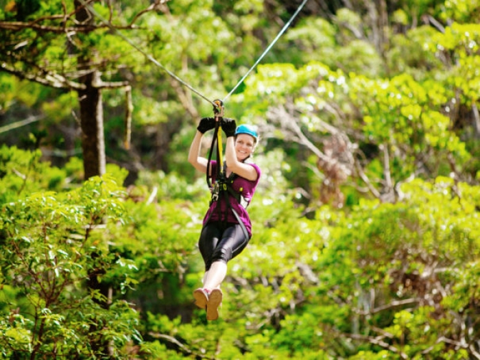 03. The Canyon Flyer - TreeTop Challenge, Australia