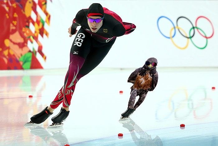 funny-badass-hawk-photoshop-battle-6