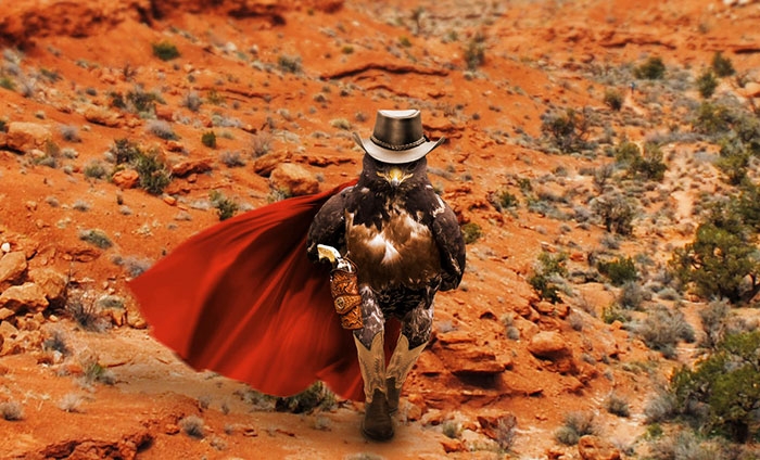 funny-badass-hawk-photoshop-battle-2