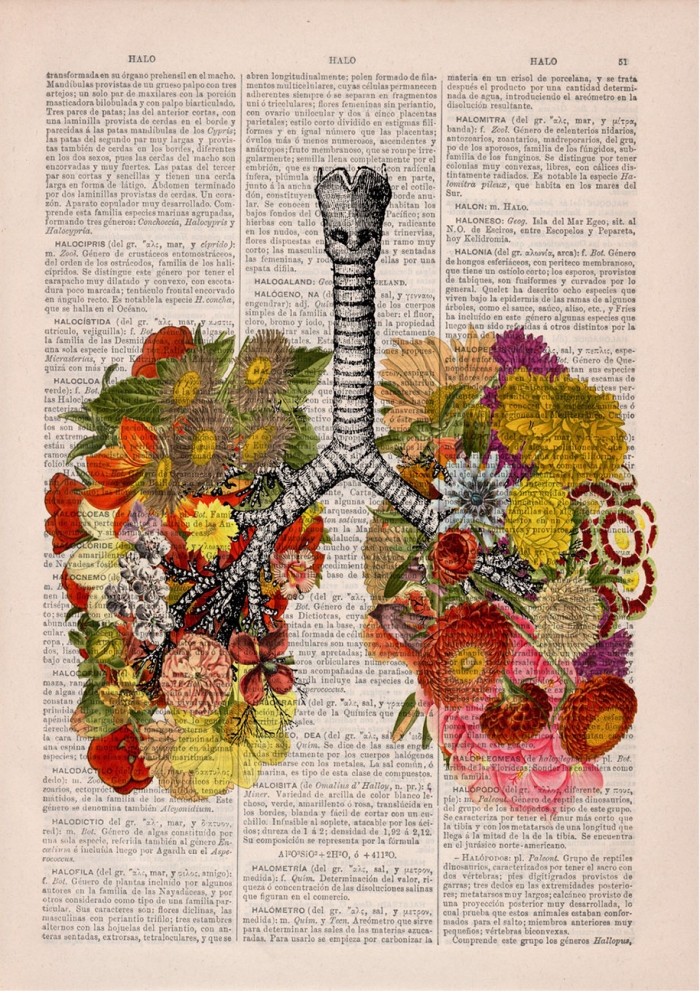 floral-anatomy-illustrations-old-book-pages-prrint-12