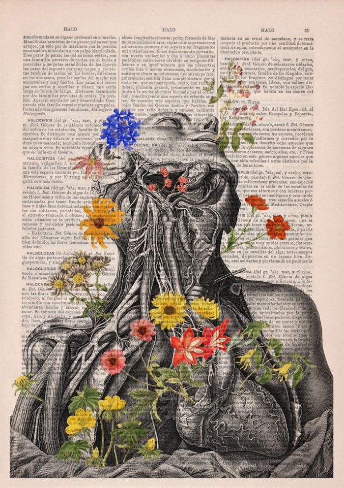 floral-anatomy-illustrations-old-book-pages-prrint-8
