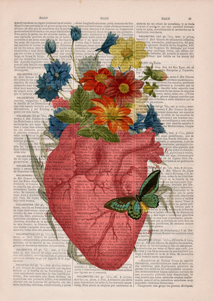 floral-anatomy-illustrations-old-book-pages-prrint-7