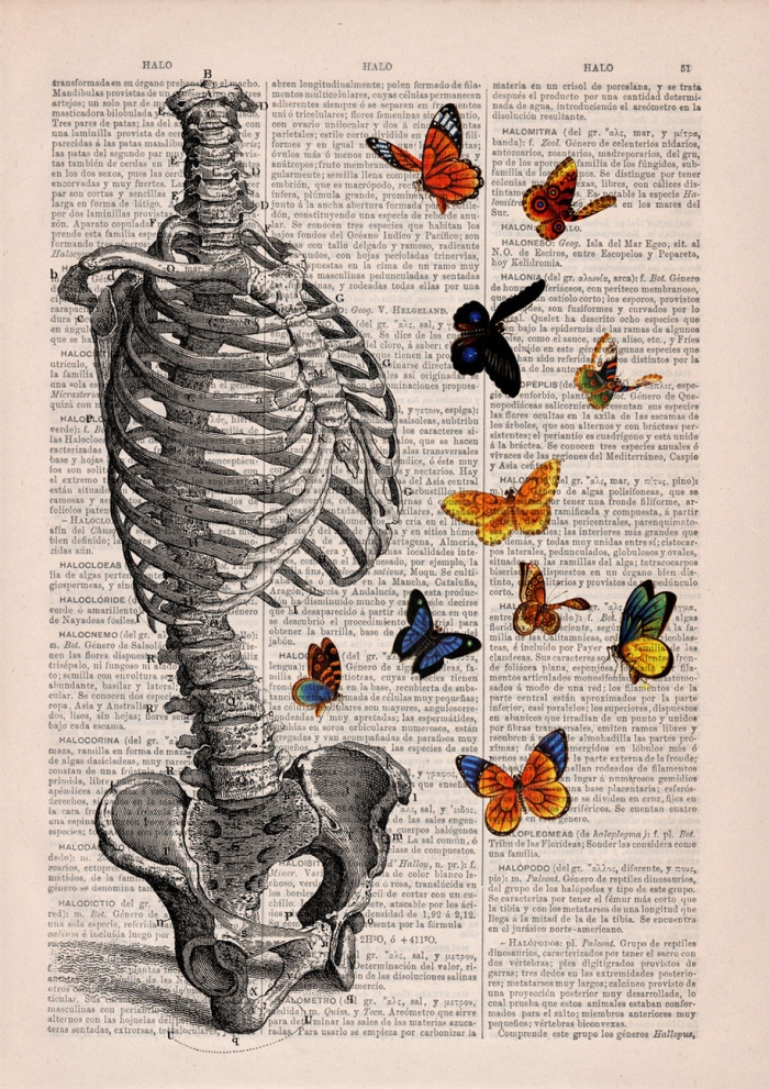 floral-anatomy-illustrations-old-book-pages-prrint-9