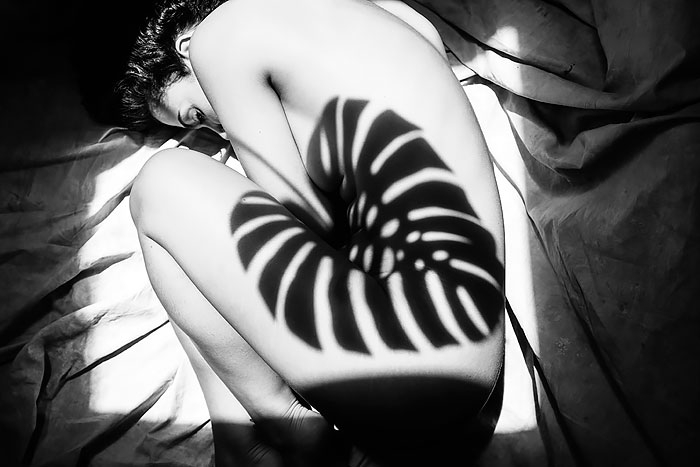 creative-shadow-photography-7
