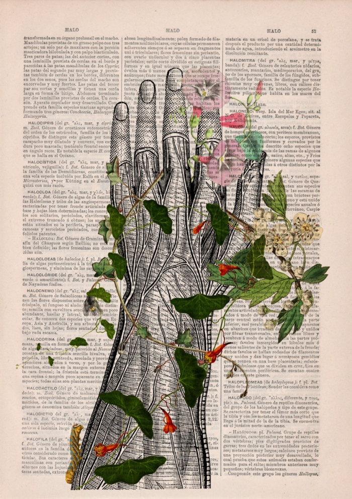 floral-anatomy-illustrations-old-book-pages-prrint-10