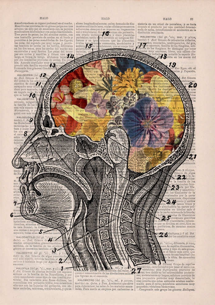 floral-anatomy-illustrations-old-book-pages-prrint-11