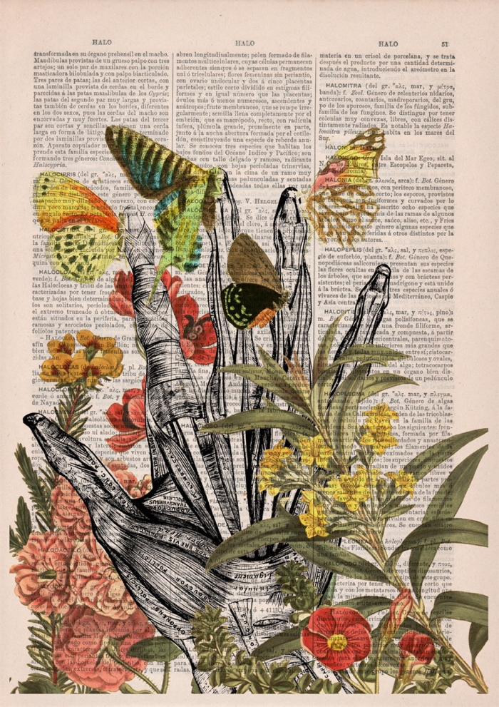floral-anatomy-illustrations-old-book-pages-prrint-16