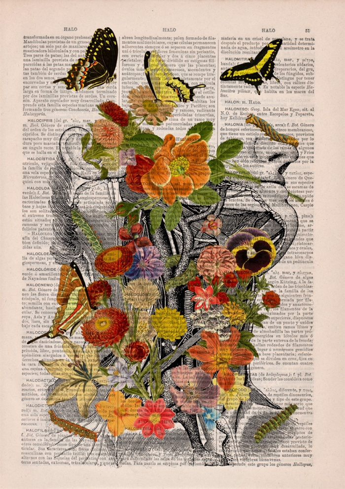 floral-anatomy-illustrations-old-book-pages-prrint-15