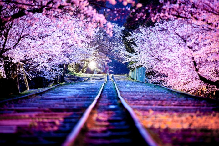 unique-japan-street-photography-15