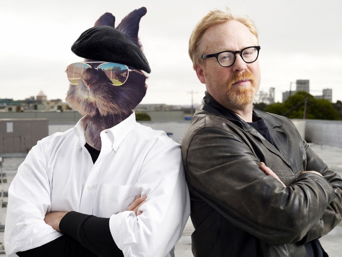 sunglasses-rabbit-photoshop-battle-32