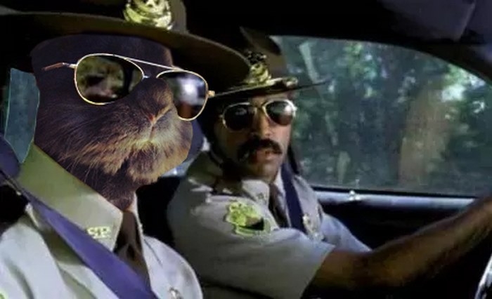 sunglasses-rabbit-photoshop-battle-1