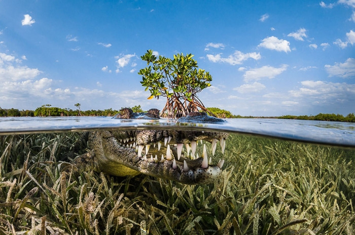 winners-siena-international-travel-photo-awards-2016-55