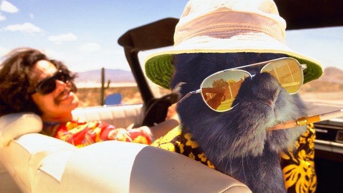 sunglasses-rabbit-photoshop-battle-2