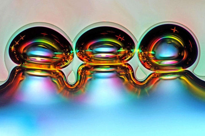 nikon-small-world-photo-contest-2016-20