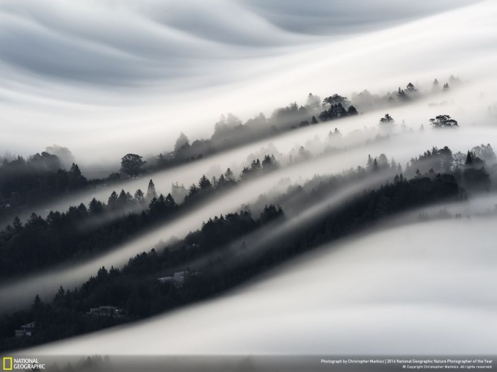 2016-national-geographic-nature-photographer-of-the-year-finalists-17