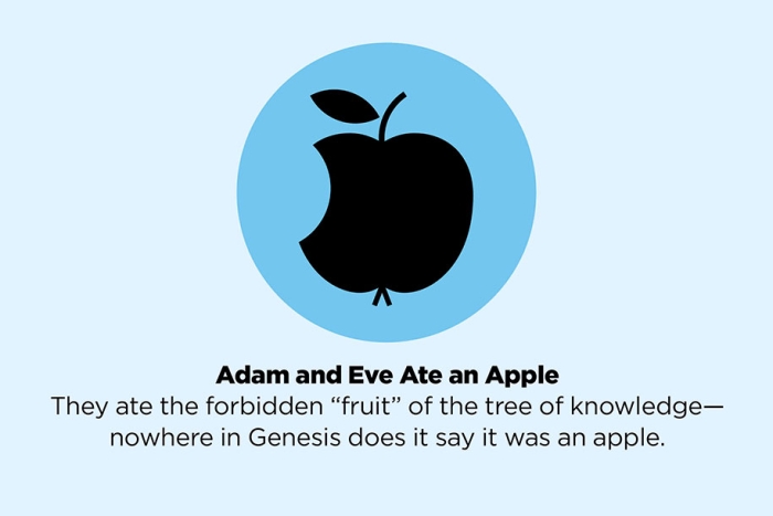 fake-facts-false-information-is-beautiful-41