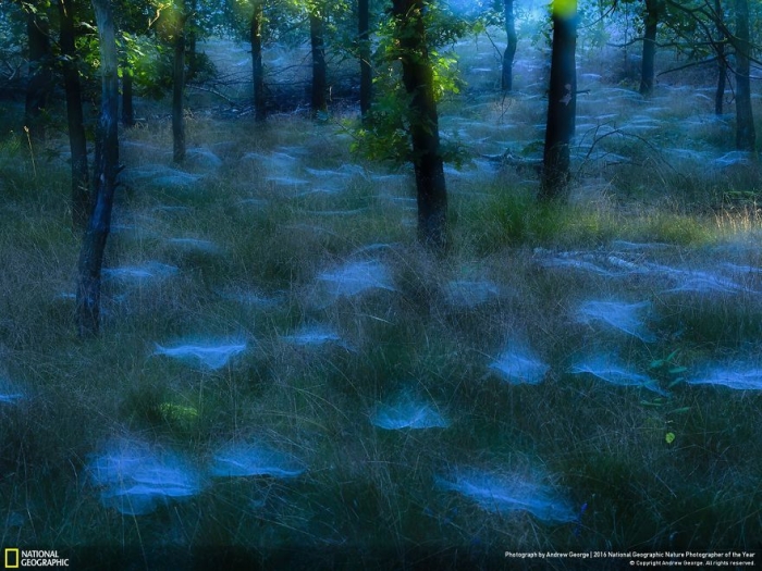 2016-national-geographic-nature-photographer-of-the-year-finalists-12