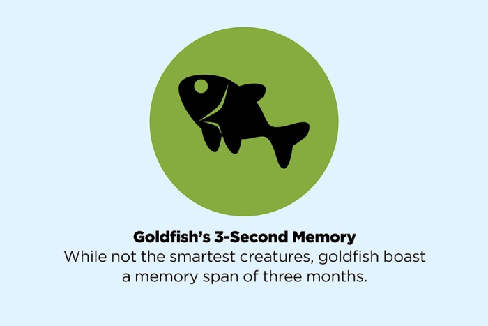 fake-facts-false-information-is-beautiful-23