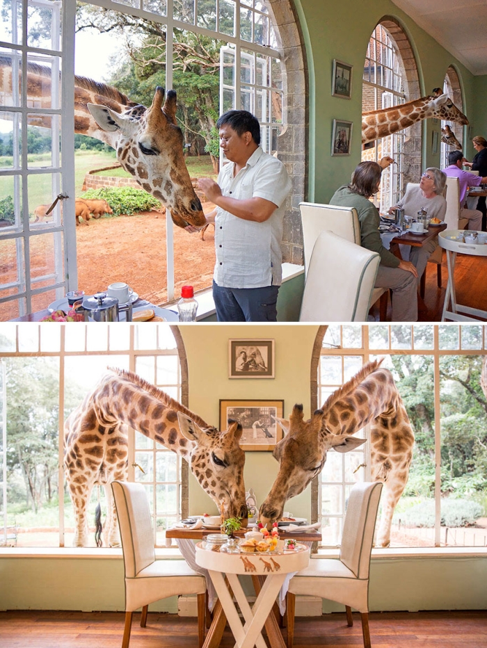 worlds-most-amazing-restaurants-unique-dining-3
