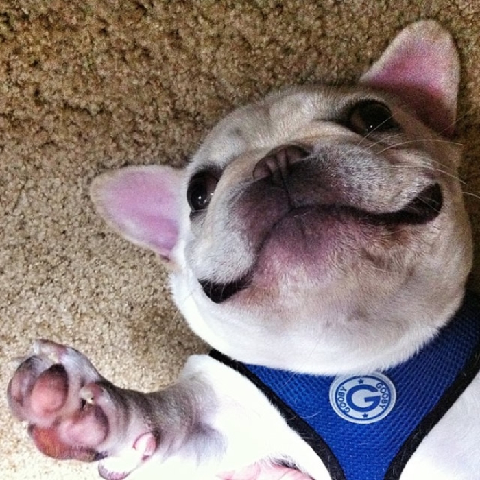 #6 BARKLEYSIRCHARLES