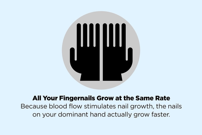 fake-facts-false-information-is-beautiful-43