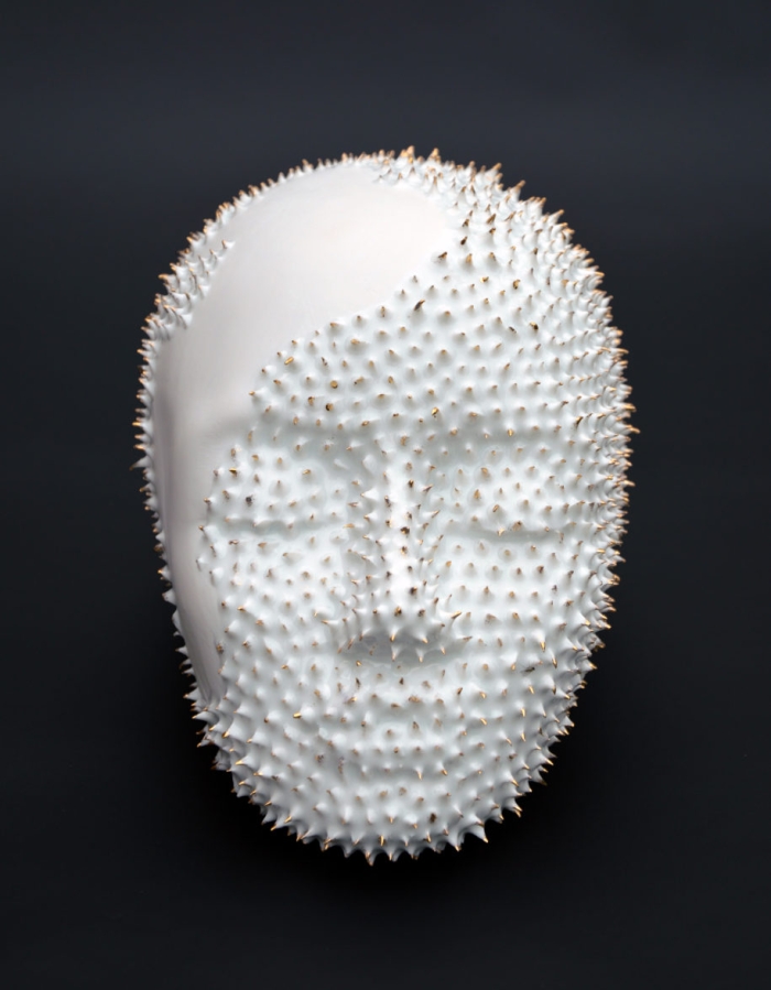 " Epithelantha micromeris "