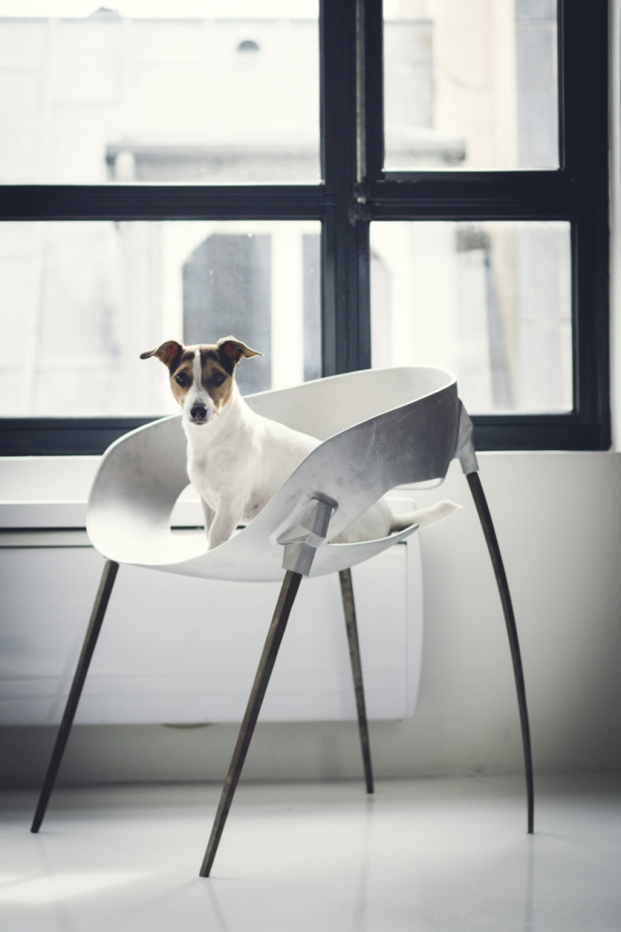 Harow Sputnik Chair