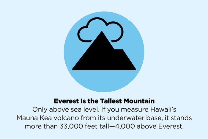 fake-facts-false-information-is-beautiful-46